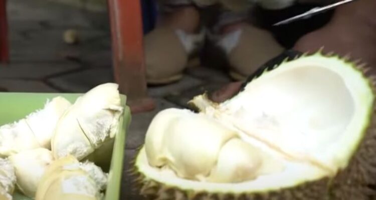 ulasan durian cengal bg.rizal kabupaten bogor