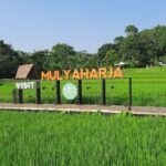 agro eduwisata organik mulyaharja foto