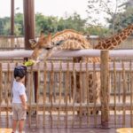 alamat wahana taman safari bogor buka jam berapa