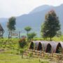 Cara Booking The Ciliwung Adventure Camp, Camping Ground Murah dan Nyaman di Puncak
