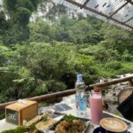 Kafe Kembali ke Alam, Tempat Kopi 24 Jam di Puncak Bogor yang Murah View Hutan Pinus