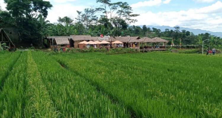 Menikmati Kampung Agro Eduwisata Organik Mulyaharja Kota Bogor Tahun 2025