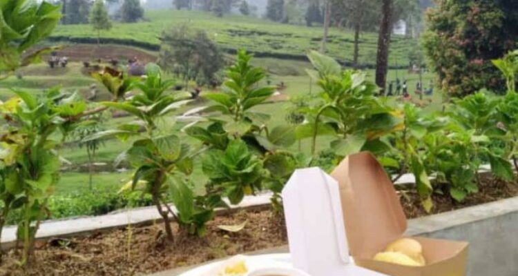 Tempat Nongkrong Santai di Kafe Kentring Manik Puncak yang Adem Dekat Gunung Mas