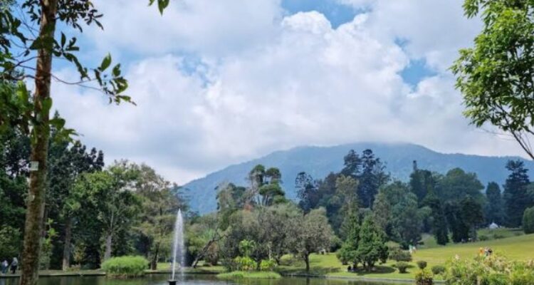 Di Kebun Raya Cibodas Ada Apa Saja Tahun 2025