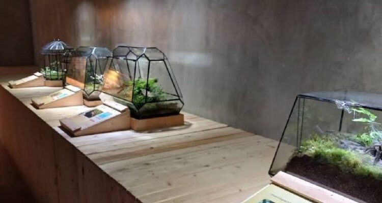 Jelajahi Animalium BRIN: Tempat Wisata Edukasi Satwa di Cibinong