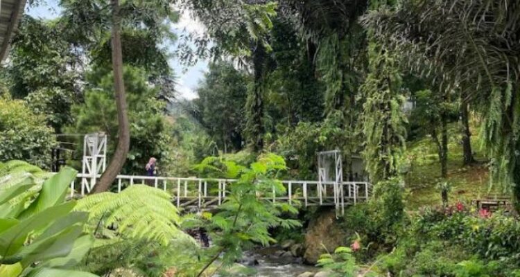 Menikmati Kopi Tepi Hutan Sentul Bogor
