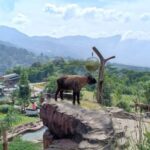 Keliling Taman Safari Puncak Bogor Naik Bus