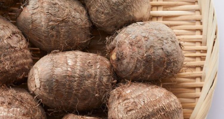 Cerita Makan Talas Mentega dan Kroket di Hambalang Bogor
