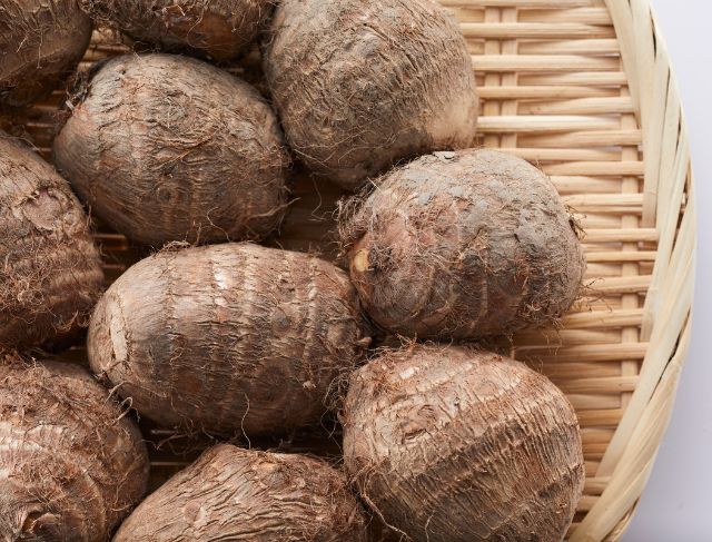 Cerita Makan Talas Mentega dan Kroket di Hambalang Bogor