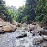 Curug Dengdeng, Air Terjun Tersembunyi di Bogor yang Dipenuhi Mitos dan Keindahan Alam