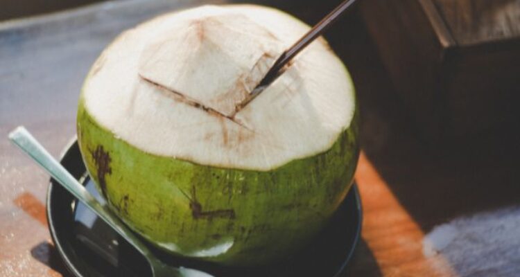 Tempat Jual Kelapa Kopior Viral di Bogor, Segar Banget Buat Healing Sambil Piknik
