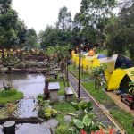 Datura Nature Space Puncak Bogor: Healing dan Camping Back to Nature dengan Kafe 24 Jam