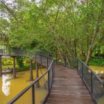 Liburan Keluarga di Enchanting Valley Puncak Bogor
