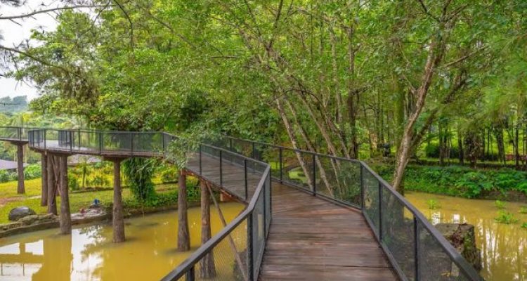 Liburan Keluarga di Enchanting Valley Puncak Bogor