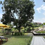 Playground Indotofu Puncak Bogor 2025: Wisata Wahana Keluarga
