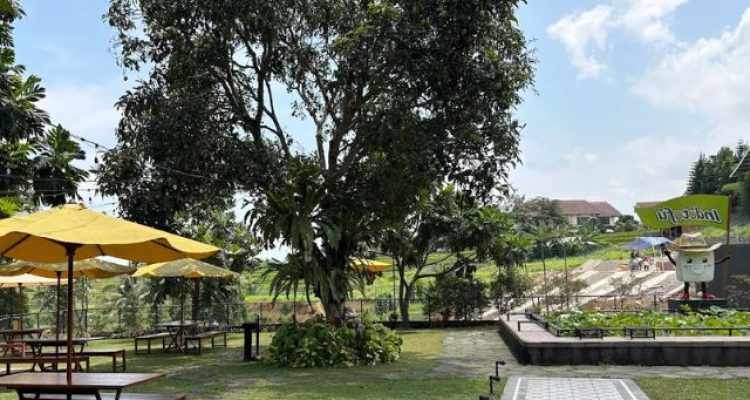 Playground Indotofu Puncak Bogor 2025: Wisata Wahana Keluarga