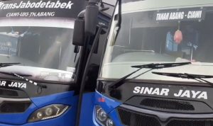 Cara Naik Bus APTB Sinar Jaya & Agramas dari Ciawi ke Tanah Abang, Senen, dan Grogol