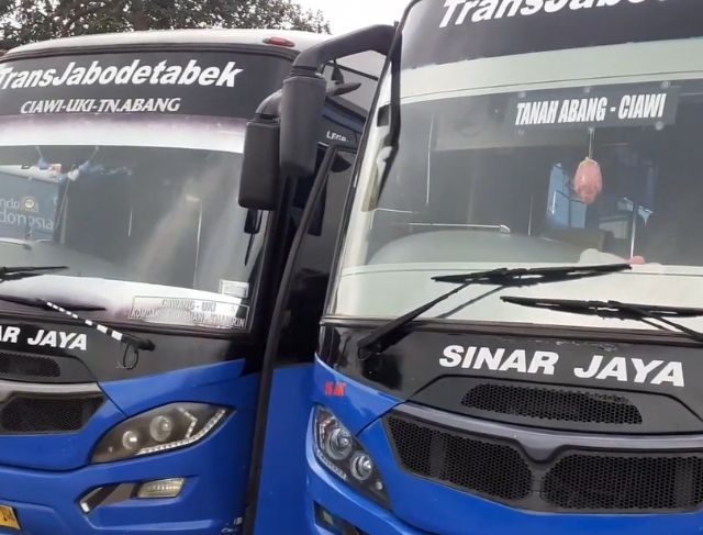 Cara Naik Bus APTB Sinar Jaya & Agramas dari Ciawi ke Tanah Abang, Senen, dan Grogol