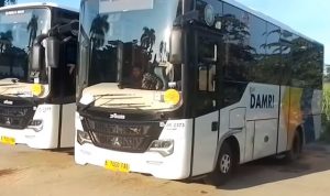 Informasi Tarif dan Jadwal Bus DAMRI Cibinong Bandara 2025 dari Cibinong City Mall (CCM)