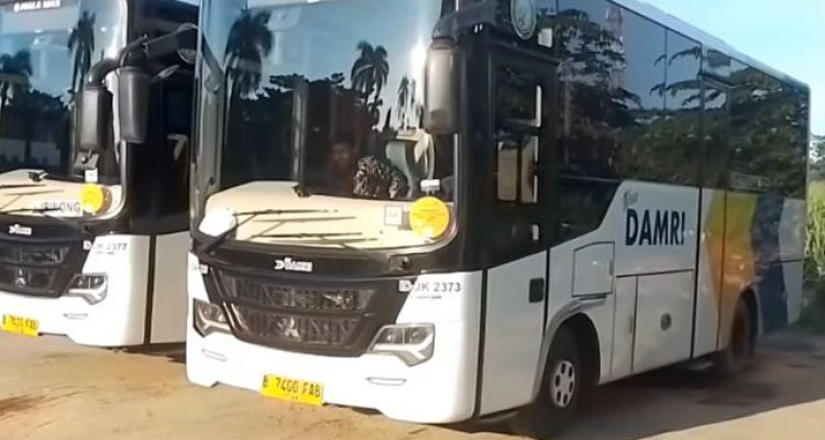 Informasi Tarif dan Jadwal Bus DAMRI Cibinong Bandara 2025 dari Cibinong City Mall (CCM)