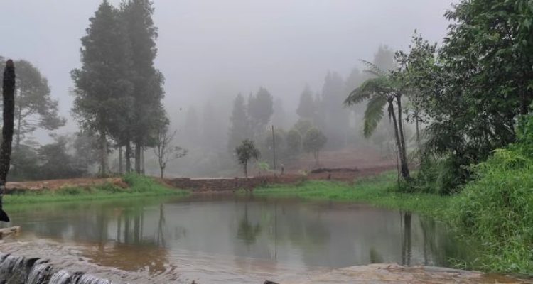 Keindahan Tersembunyi Kampung Cisadon Babakan Madang Bogor