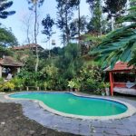 Villa Bukit Angin Puncak Bogor – Hidden Gem Murah Meriah untuk Healing dan Liburan Keluarga