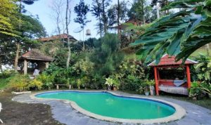 Villa Bukit Angin Puncak Bogor – Hidden Gem Murah Meriah untuk Healing dan Liburan Keluarga