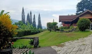 Villa Kayu Kampung Kareo Puncak Bogor Hidden Gem dengan View Gunung Villa Kayu Kampung Kareo Puncak Bogor: Hidden Gem dengan View Gunung