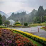 Wisata Alam Kebun Raya Cibodas: Surga Sejuk di Kaki Gunung Gede Pangrango, Tiket Masuk Murah & Tips Liburan Hemat!