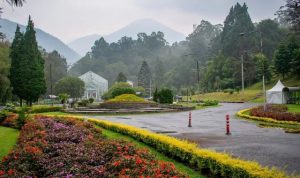 Wisata Alam Kebun Raya Cibodas Surga Sejuk di Kaki Gunung Gede Pangrango, Tiket Masuk Murah & Tips Liburan Hemat Wisata Alam Kebun Raya Cibodas: Surga Sejuk di Kaki Gunung Gede Pangrango, Tiket Masuk Murah & Tips Liburan Hemat!