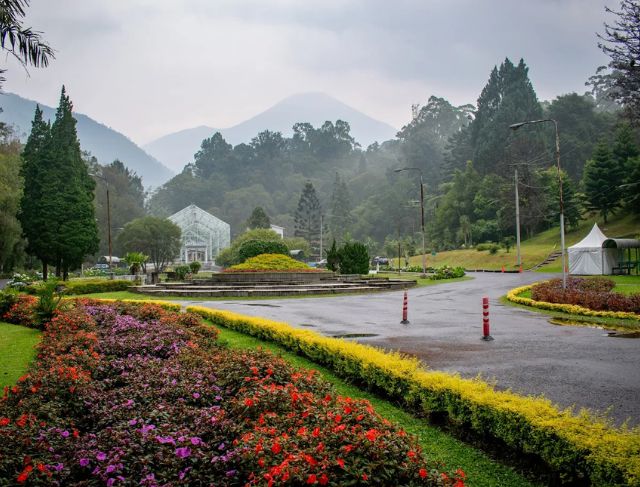 Wisata Alam Kebun Raya Cibodas: Surga Sejuk di Kaki Gunung Gede Pangrango, Tiket Masuk Murah & Tips Liburan Hemat!