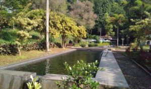 Wisata Mata Air Ciburial Puncak Bogor: Surga Tersembunyi dengan Tiket Murah dan View Gunung Gede Pangrango