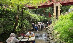 Bree Coffee and Kitchen Bogor – Sensasi Makan di Atas Sungai & Wisata Keluarga Pet Friendly yang Lagi Viral Bree Coffee and Kitchen Bogor – Sensasi Makan di Atas Sungai & Wisata Keluarga Pet Friendly yang Lagi Viral