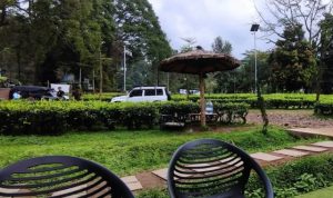 Review Kentring Manik Puncak Bogor Harga Menu Murah View Kebun Teh Review Kentring Manik Puncak Bogor Harga Menu Murah View Kebun Teh