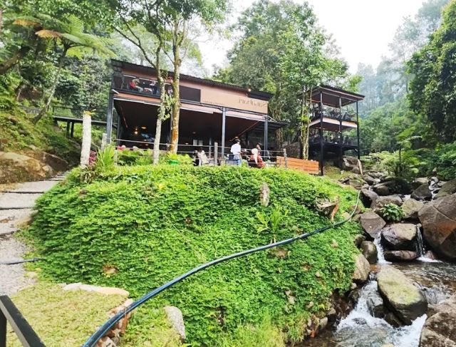 Review Sanubari Coffee Puncak Bogor dengan Rute Lengkap, Harga Menu, dan Jam Operasional