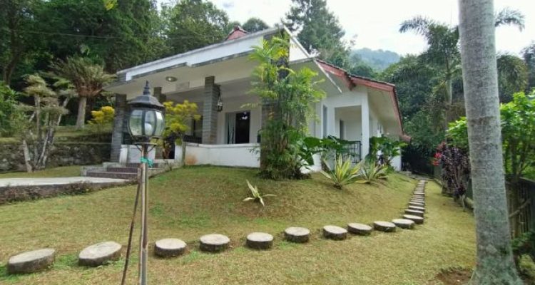 Review Villa Murah Puncak Bogor Kapasitas 40 Orang Dengan Private Pool & Rumah Pohon – Villa Ashley by Surganya Villa