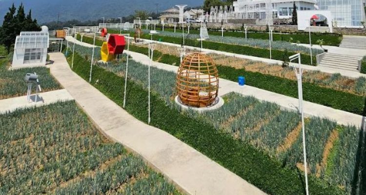 Artala Agroeduwisata Cianjur: Destinasi Spot Foto Gratis Puncak