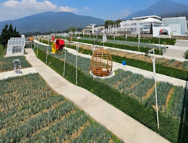 Artala Agroeduwisata Cianjur: Destinasi Spot Foto Gratis Puncak