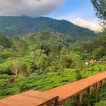 Gunung Mas Agrowisata Puncak Bogor Viral Lagi – Review Wahana Rainbow Slide & Keranjang Sultan