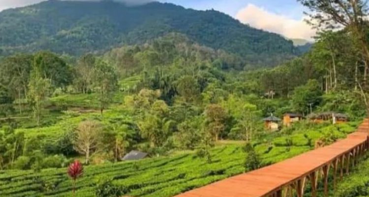 Gunung Mas Agrowisata Puncak Bogor Viral Lagi – Review Wahana Rainbow Slide & Keranjang Sultan
