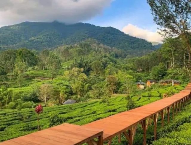 Gunung Mas Agrowisata Puncak Bogor Viral Lagi – Review Wahana Rainbow Slide & Keranjang Sultan