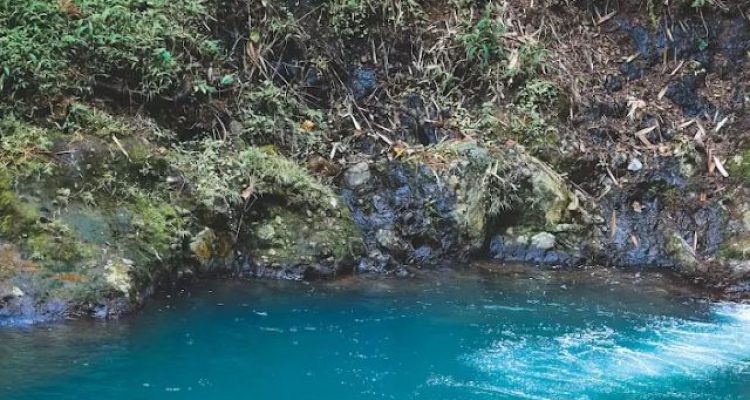 Telaga Cawene Bogor: Hidden Gem Pamijahan Gunung Bunder yang Bikin Lupa Pulang