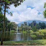 Cara ke Kebun Raya Cibodas Cianjur dari Jakarta 2026 (Kampung Rambutan Naik Bus Marita)