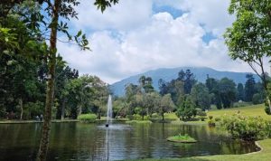 Cara ke Kebun Raya Cibodas Cianjur dari Jakarta 2026 (Kampung Rambutan Naik Bus Marita)