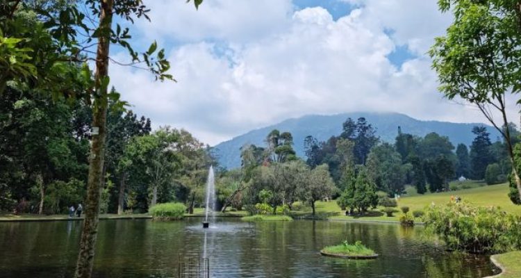 Cara ke Kebun Raya Cibodas Cianjur dari Jakarta 2026 (Kampung Rambutan Naik Bus Marita)