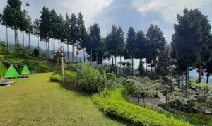Glamping di Alinson Sunset Hill Cisarua Glamping di Alinson Sunset Hill Cisarua