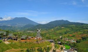 Rekomendasi Tempat Wisata Hits di Puncak Bogor untuk Liburan Keluarga dan Healing