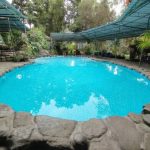 Wisata Curug dan Taman di The Pinewood Lodge & Organic Farm Puncak, Nuansa Alam Sejuk di Tengah Hutan