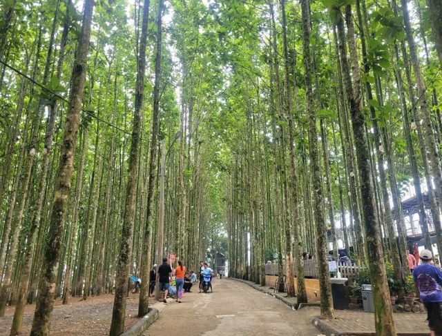 dari stasiun bogor ke the farm pancawati ulasan