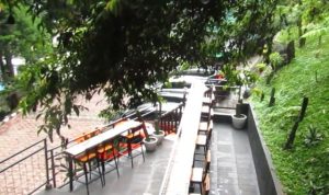Bukit Nurmala Cafe Bogor: Tempat Nongkrong Hits dengan View Pinus dan Spot Instagramable